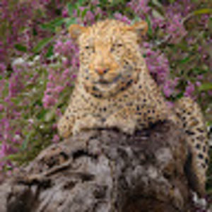 Meet your Posher, Deborah